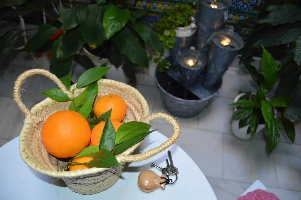 Alojamientos Con Encanto En Casa De Patio Córdoba 0*,